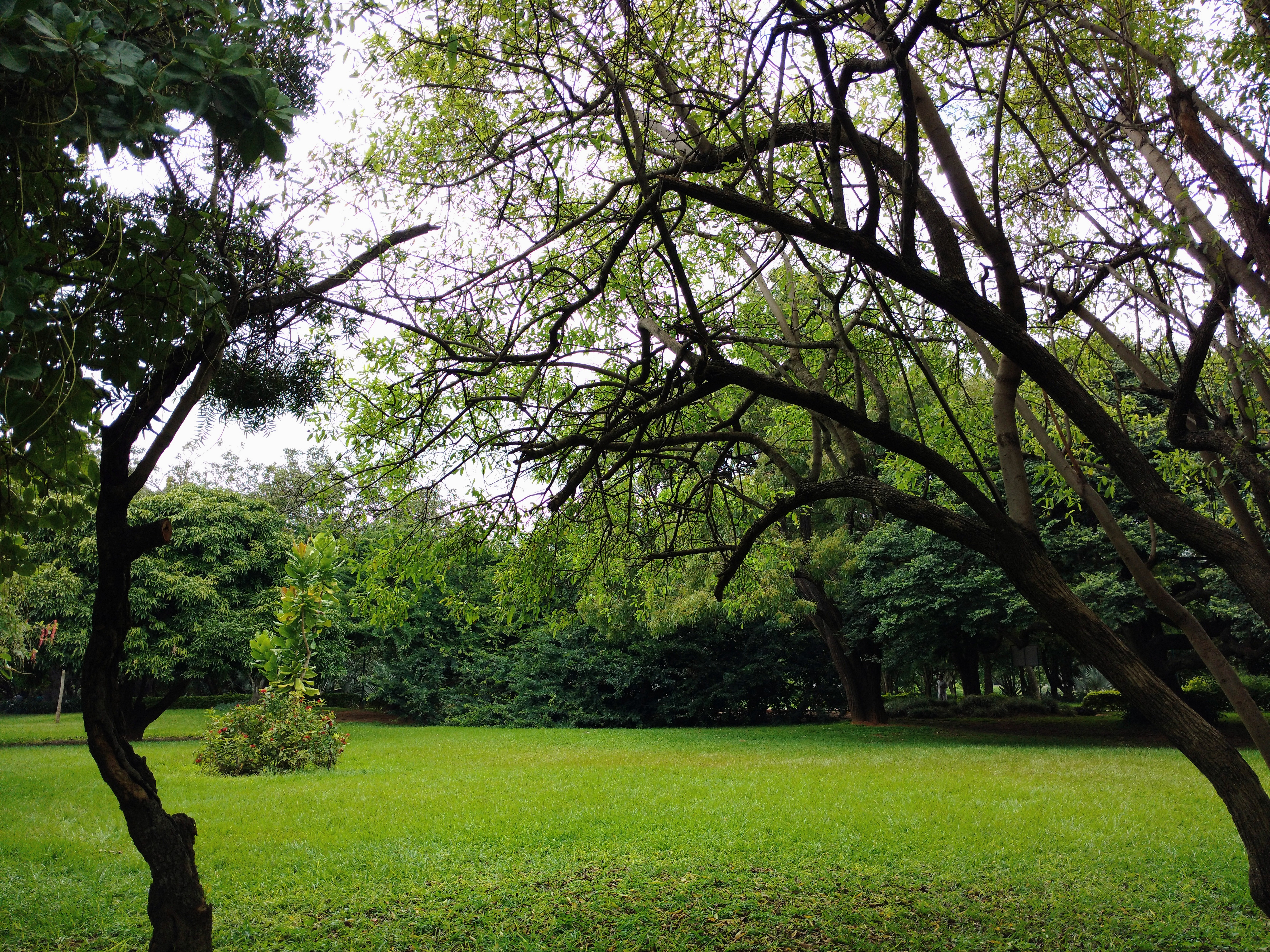 Lalbagh Botanical Garden